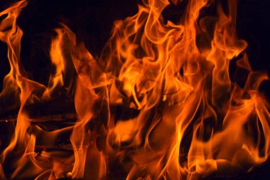 alevler siyah arkaplanda. 