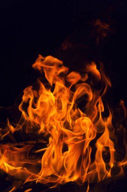 alevler siyah arkaplanda. 