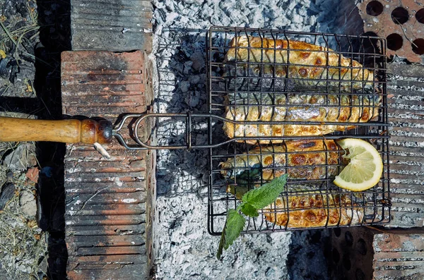 Cooking fish with sauce on an open fire in nature. — Stock Photo, Image