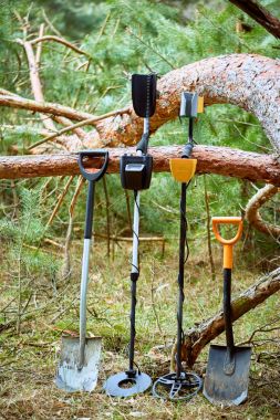 Metal detektör ve kürek kullanarak hazine arayacağız..