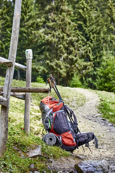 Wandern in den Bergen im Sommer mit dem Rucksack. — Stockfoto