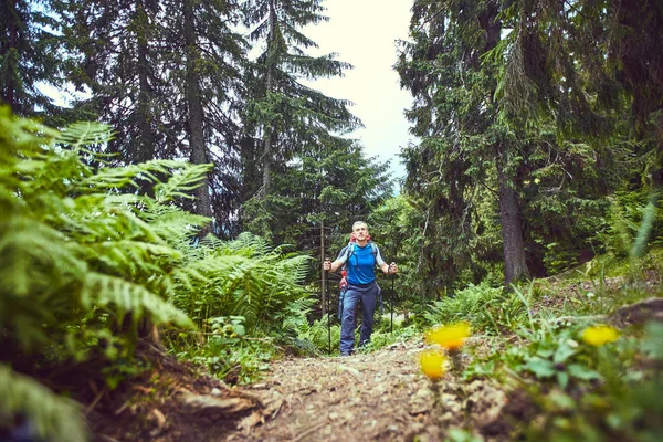 Bir sırt çantası ile yaz aylarında dağlarda hiking.