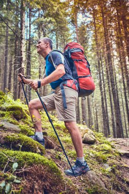 Bir sırt çantası ve çadır ile dağlarda yaz zammını.