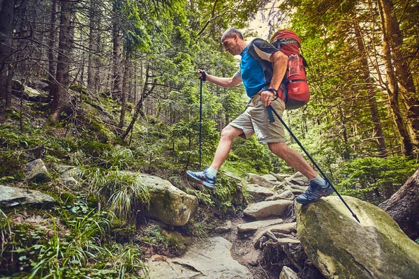 バックパックとテント山で夏のハイキング. — ストック写真