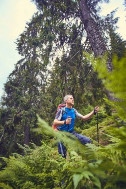 Bir sırt çantası ile yaz aylarında dağlarda hiking.