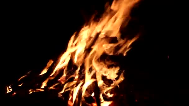 Duży ogień i płomienie w lesie w nocy. — Wideo stockowe