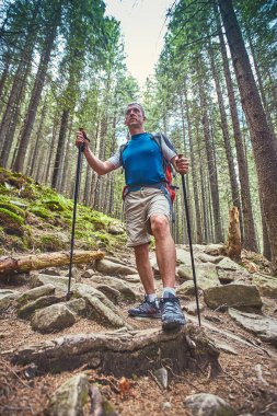 Bir sırt çantası ve çadır ile dağlarda yaz zammını.