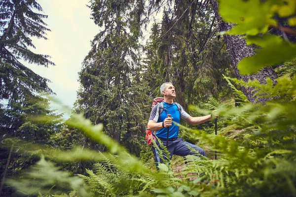 Bir sırt çantası ile yaz aylarında dağlarda hiking.