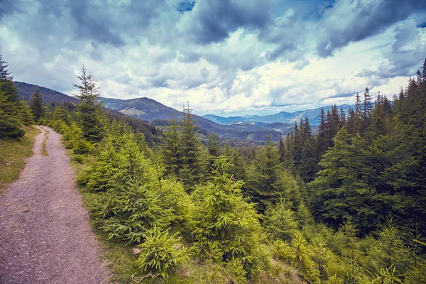Dağlarda yaz aylarında bulutlar ile güzel bir manzara