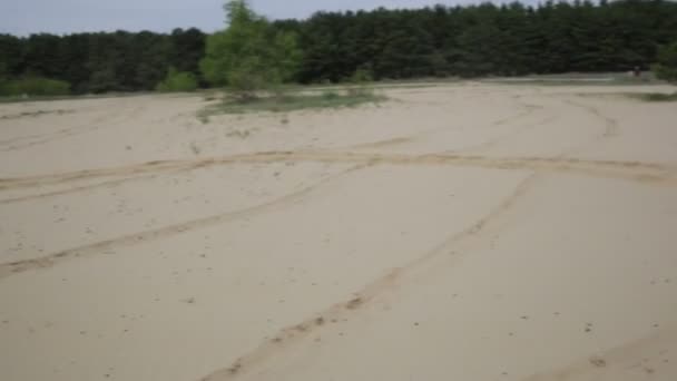 Гонки ATV это песок . — стоковое видео
