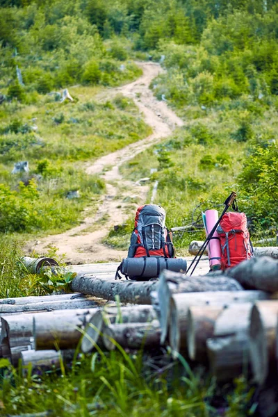 Mochilas en el bosque en las montañas en un puente de madera . — Foto de Stock