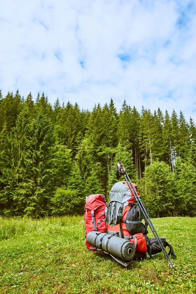 Backpacks in the mountains overlooking the mountains on the gree — Stock Photo, Image