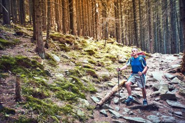 Bir sırt çantası ve çadır ile dağlarda yaz zammını.