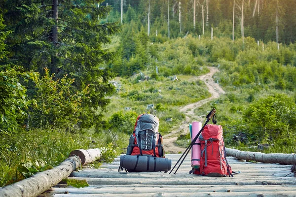 Mochilas na floresta nas montanhas em uma ponte de madeira . — Fotografia de Stock