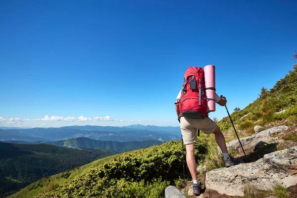 Hiking in the mountains in the summer with a backpack. — Stock Photo, Image