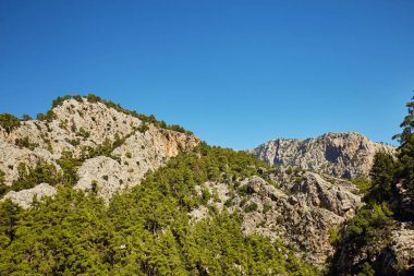 Öğleden sonra kısa yaz sezonu dağ manzarası.