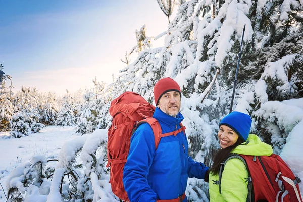 Maak een wandeling door het bos van de winter met een rugzak en tent. — Stockfoto