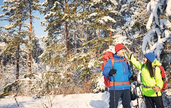 Caminhe pela floresta de inverno com uma mochila e tenda . — Fotografia de Stock
