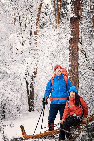 Spacerem przez las zima z plecaka i namiot. — Zdjęcie stockowe