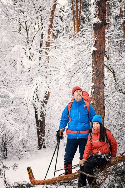 Mit Rucksack und Zelt durch den Winterwald. — Stockfoto