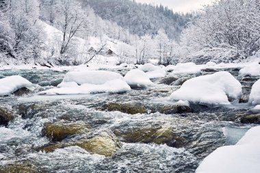 Güzel kış nehir bir kanyonda bir kış yürüyüş içinde.
