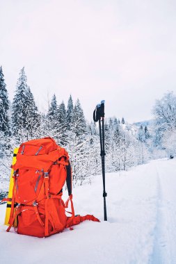 Kırmızı sırt çantası trekkingovymi ile backgr karda üzerinde sopa