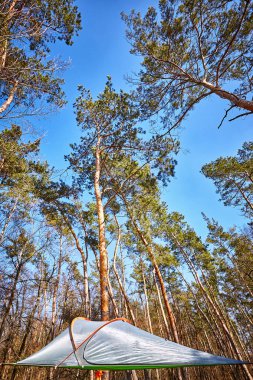 Kampanya hava çadırda bir ağaç üzerinde asılı.