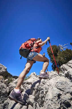 Yaz aylarında dağ tepesine uzun yolculuk.