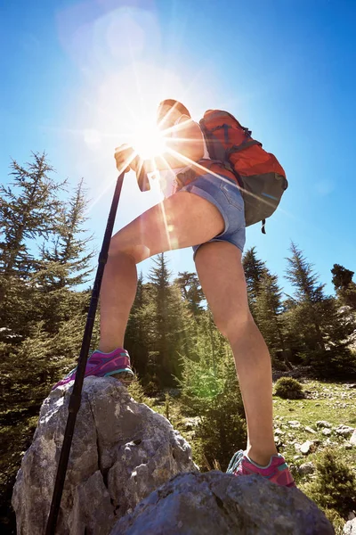 Bir sırt çantası ve çadır boyunca dağlarda yaz zammını 