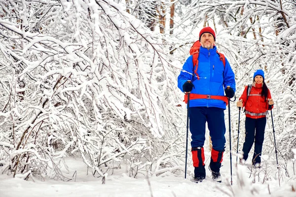 Caminhe pela floresta de inverno com uma mochila e tenda . — Fotografia de Stock