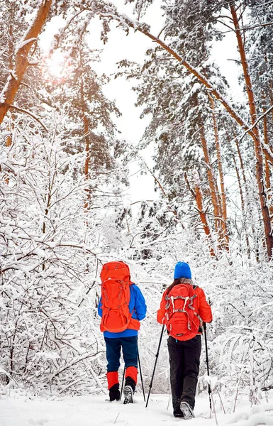 Caminhe pela floresta de inverno com uma mochila e tenda . — Fotografia de Stock