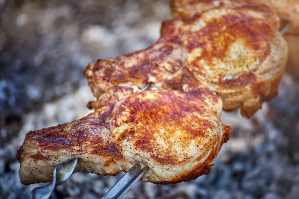 Gotowanie Smacznego Mięsa Otwartym Ogniu Naturze — Zdjęcie stockowe