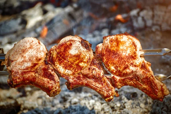 Cooking Tasty Meat Open Fire Nature — Stock Photo, Image