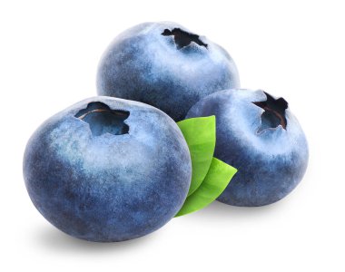 Üç yaban mersini izole