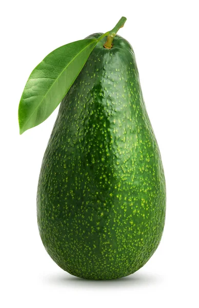 Avokado med leaf isolerade — Stockfoto