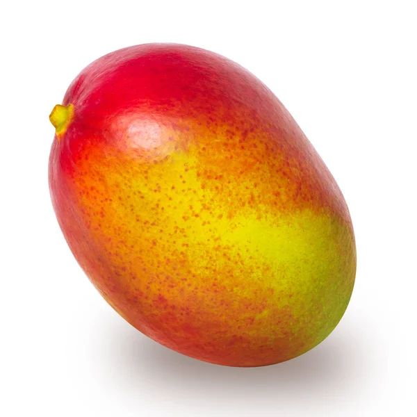 Mango rojo aislado — Foto de Stock