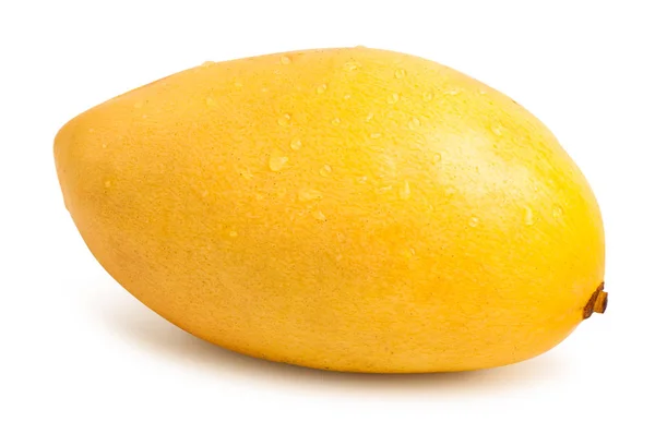 Fruta de mango aislada — Foto de Stock