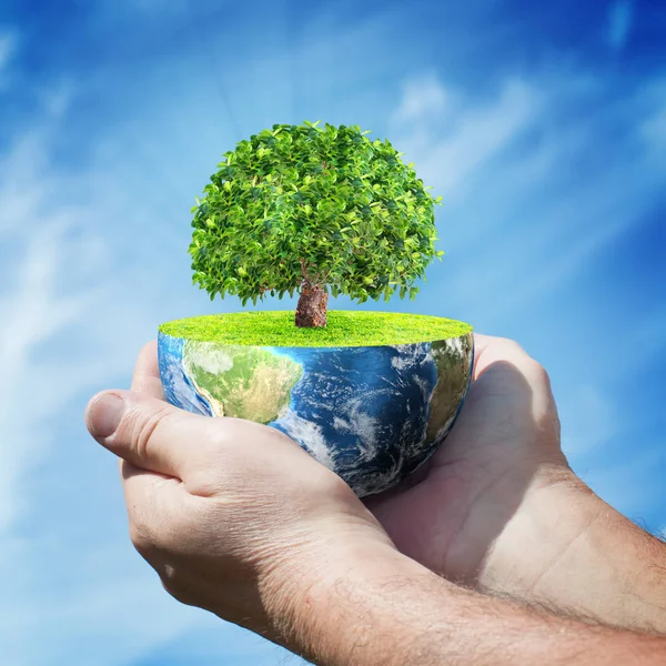 Planeta Tierra con árbol en manos humanas contra el cielo azul — Foto de Stock