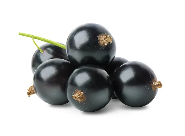 Elkülönített fekete ribizli bogyók — Stock Fotó