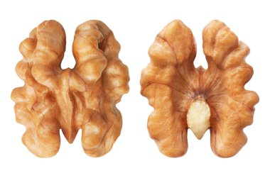 Ceviz beyaza izole edilmiş.