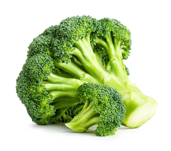 Färsk broccoli isolerad på vit Stockbild