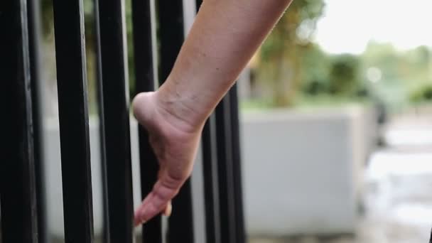 Young woman's hand running over the bars of a gate — Stock video