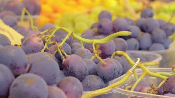 Small baskets of grapes exposed to the market — Stock video