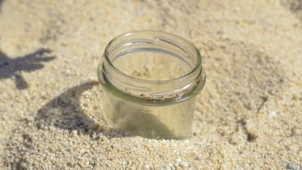 Main de l'homme jetant cigarette dans un bocal en verre dans le sable — Video