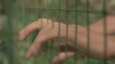  net sarılmak eller tutuklu adam