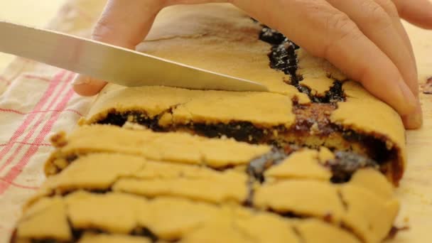 Cortado a mano en rodajas un strudel casero en un paño — Vídeos de Stock