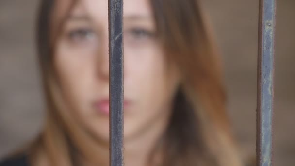 Sad young woman trapped behind bars — Stock video