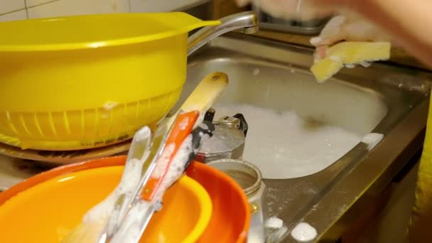 Housewife washes dishes in the kitchen — Stock Video