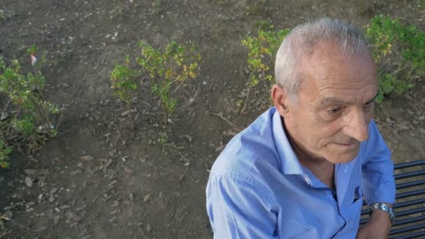 Top view of elderly man sitting at the park — Stock video