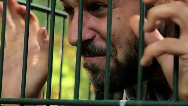 Hombre encarcelado en una jaula se enoja y se desespera — Vídeos de Stock